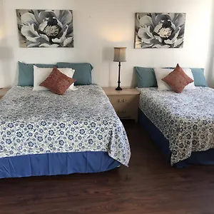 Waikiki Banyan Apartment Honolulu